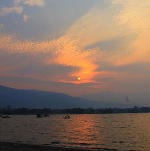 Meet your Posher, Karyn